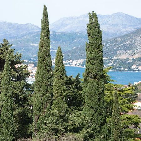 Spacious Apartment Near The Old Town Dubrovnik Kültér fotó