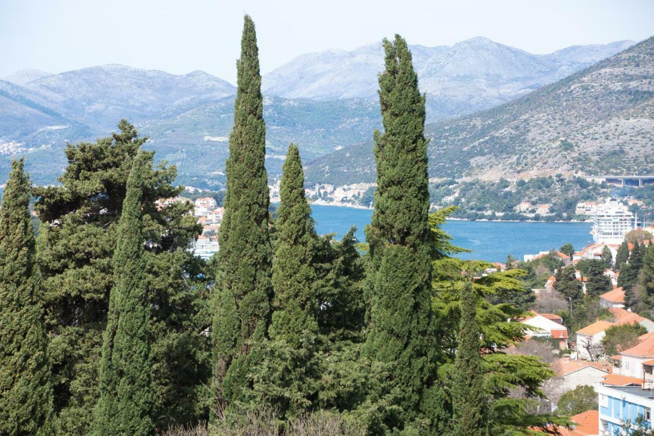 Spacious Apartment Near The Old Town Dubrovnik Kültér fotó